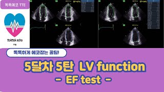 Ejection Fraction test EF test echocardiography 심장초음파 LV systolic function [upl. by Eentruoc]