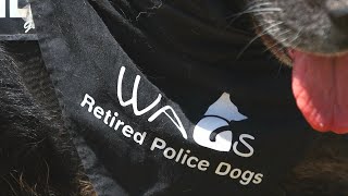 WAGs Retired Police Dogs [upl. by Etnom]