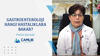 Gastroenteroloji Hangi Hastalıklara Bakar  Prof Dr Esin Ünlü [upl. by Aileme]