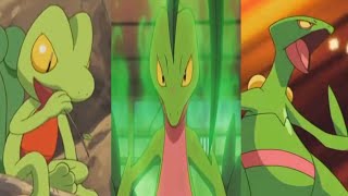 Pokemon AMV Fire Treecko to Sceptile [upl. by Edroi]