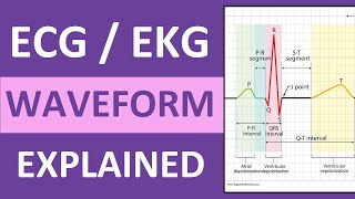 ECG Waveform Explained and Labeled  ECG Interpretation Nursing NCLEX [upl. by Ignatz753]