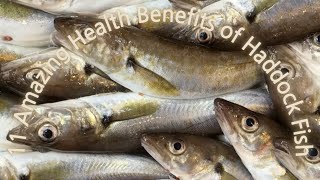 11 Amazing Health Benefits of Haddock Fish [upl. by Ecinert]