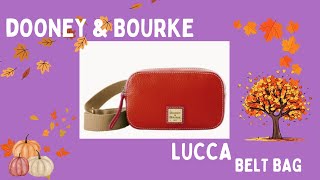 Dooney amp Bourke Lucca Belt Bag [upl. by Ettesel464]