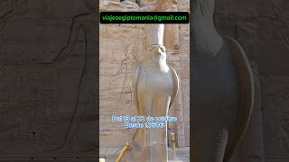 Vente a Egipto en Octubre de 2024 con Egipto Historia egipto viajes [upl. by Noiram696]