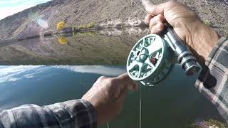 An Unexpected Catch at Pleasant Valley Reservoir Eastern Sierra [upl. by Marji]