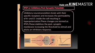 NHT and SynthesisStorage and Release of Neurotransmitters in Adrenergic and Cholinergic neurons [upl. by Jempty]