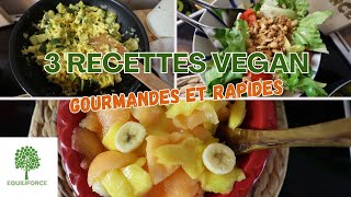 3 RECETTES VEGAN pour un REPAS RAPIDE et EQUILIBRÉ  LUNDI VERT n°293 [upl. by Umeh]