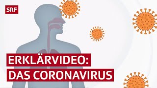 Coronavirus erklärt – das stellen die Covid19Viren in unserem Körper an  Erklärvideo  SRF News [upl. by Eahsed]