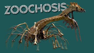 Zoochosis  ALL Animal Monsters MOVEMENT Animation Showcase [upl. by Araldo]