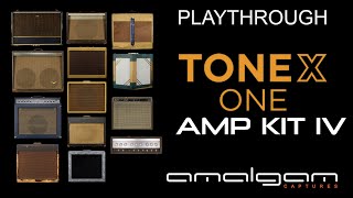 ToneX ONE Amp KIT IV  Character amp Tone Model set by amalgam captures [upl. by Anaig]