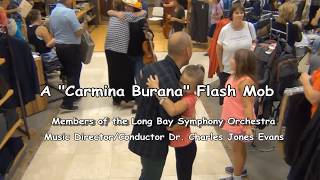 A quotCarmina Buranaquot Flash Mob [upl. by Ensoll]