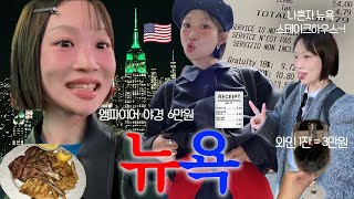 뉴욕여행 브이로그 ✶ 뉴욕 물가 경비 공유 나혼자 뉴욕 한바퀴🇺🇸 브루클린 쇼핑 버킷리스트 이루다♡타임스퀘어 뉴욕여행 숙소 추천 [upl. by Oijres]