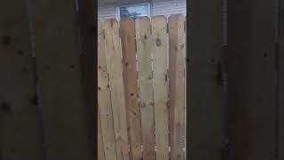 Privacy wooden fencing installation [upl. by Atterys]