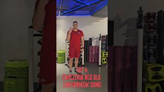 Top 4 ćwiczenia na nogi w stylu sumo 🥋💥 [upl. by Natividad51]