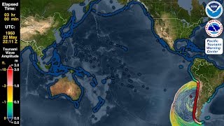 Tsunami Forecast Model Animation Chile 1960 [upl. by Etteb]