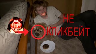 Призываем smile dog НЕ КЛИКБЕЙТ [upl. by Nuyh]