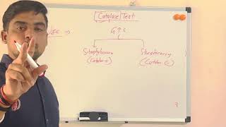 Catalase Test [upl. by Doowle]