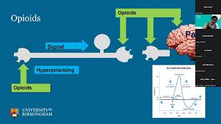 Society of tissue viabilitys webinar  Sponsored by AccelHeal [upl. by Asilrac]