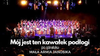 quotMój jest ten kawałek podłogiquot  MAŁA ARMIA JANOSIKA LIVE PO GÓRALSKUFOLKOWO [upl. by Westberg]