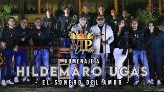 Hildemaro Mix  VIP Orquesta [upl. by Rehpinnej225]