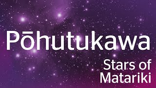 The Stars of Matariki  Pōhutukawa [upl. by Wiburg]