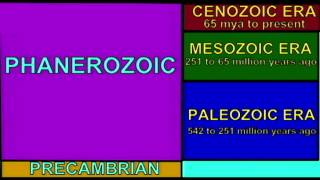 PL EXAM 1 THE EDIACARAN PERIOD [upl. by Heffron]