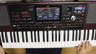 Mavi Mavi Korg pa1000 [upl. by Eelnayr]