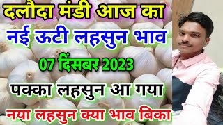 दलौदा मंडी आज का नई ऊटी लहसुन का भाव 07 दिसंबर 2023 new ooty garlic rate today ooty garlic rate [upl. by Fionnula]