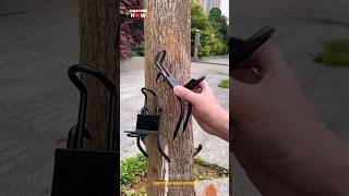 Tree Climbing Tool [upl. by Latta]