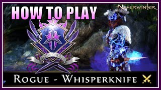 How to Play Rogue Whisperknife for HUGE Damage  BEST Power Setup to Use  Neverwinter M27 [upl. by Seleta112]