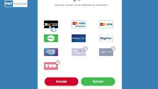 Payexpresse paiement en ligne démonstration [upl. by Gustin298]