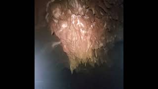 WV cave found this year 1 cavelife caving [upl. by Noteloc694]