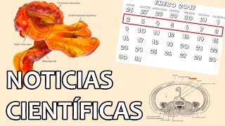 Nuevo órgano humano el mesenterio  Noticias 912017 [upl. by Germann918]