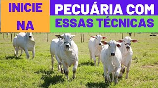 COMO INICIAR NA PECUÁRIA EM UMA PEQUENA PROPRIEDADE  É PRECISO TER TÉCNICAS VEJA COMO [upl. by Nygem439]