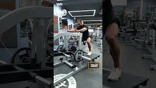 Belt Squat workout  WG PL23  Plate Loaded  Imported Gym Equipment [upl. by Gruchot]