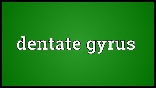 Dentate gyrus Meaning [upl. by Mcquade]