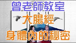 大腸經 身體裡面的秘密 曾老師教室 [upl. by Nylhsa]