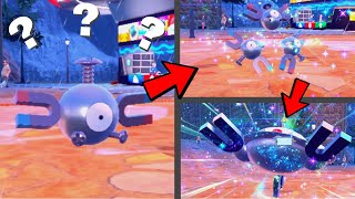 How to find Magnemite and Evolve it into Magneton then Magnezone in Pokemon Scarlet amp Violet [upl. by Garry]