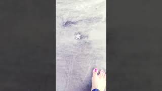 Diveagar beach bohatsare starfish dekhe pehelibaar travel nature travelvlog ytshort shorts [upl. by Auqinihs]