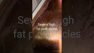 Self cleaning pyrolytic oven test Miele H6760BP [upl. by Elie]