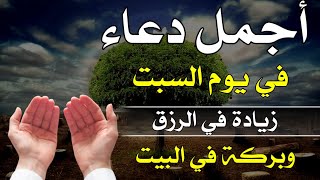 من اجمل واقوى دعاء 💗في يوم السبت🤎استمع بنية الرزق الحلال والشفاء العاجل وقضاء الدين ان شاء الله [upl. by Neerehs]