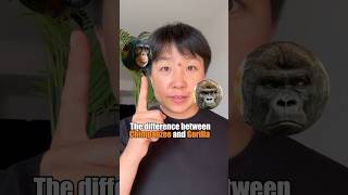 The difference between chimpanzee and gorilla animalfacts naturelover practiceEnglish [upl. by Boycie]