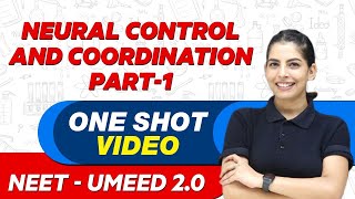 NEURAL CONTROL AND COORDINATION in 1 Shot Part  1  All Concepts amp PYQs  UMEED 20 [upl. by Aisak]