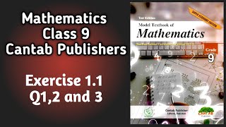 Class 9 Maths Exercise 11 Solutions  Cantab Publishers  Federal Board  Chapter 1 [upl. by Aicilyhp]