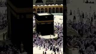 makkah live [upl. by Karolyn]