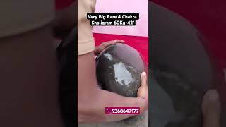 Very Big Rare 4 Chakra Shaligram 60 Kg42quot bhakti shaligram [upl. by Grewitz]