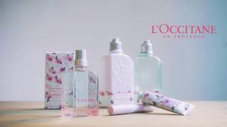 LOccitane presents 當男神遇上櫻花女孩 [upl. by Gainer98]