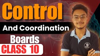 Control And Coordination Neurons Part 2 Class 10 Boards 20242025 [upl. by Einnim400]