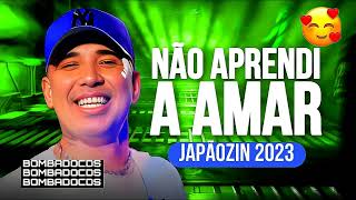 JAPÃOZIN CD NOVO ATUALIZADO 2023  MÚSICAS NOVAS 2023 eojapaozin [upl. by Bray]