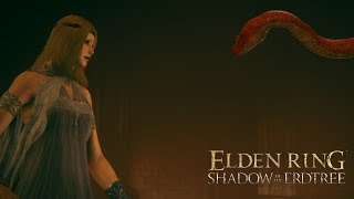 【 ELDEN RING SHADOW OF THE ERDTREE 】ちょろっとテスト配信しつつ朝活！ [upl. by Sacksen]